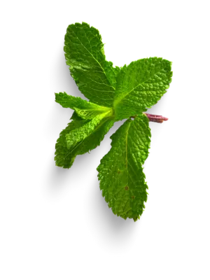 mint